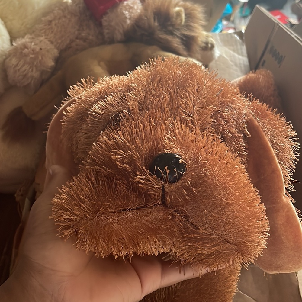Bear - Picture 2 of 2
